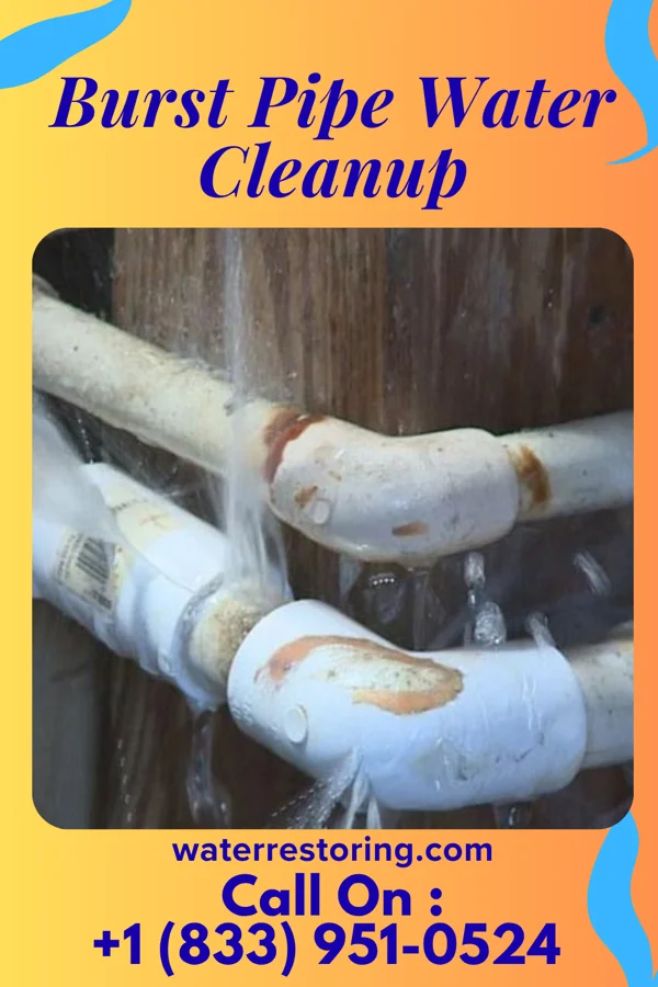 Burst Pipe Water Cleanup in Severn, NC