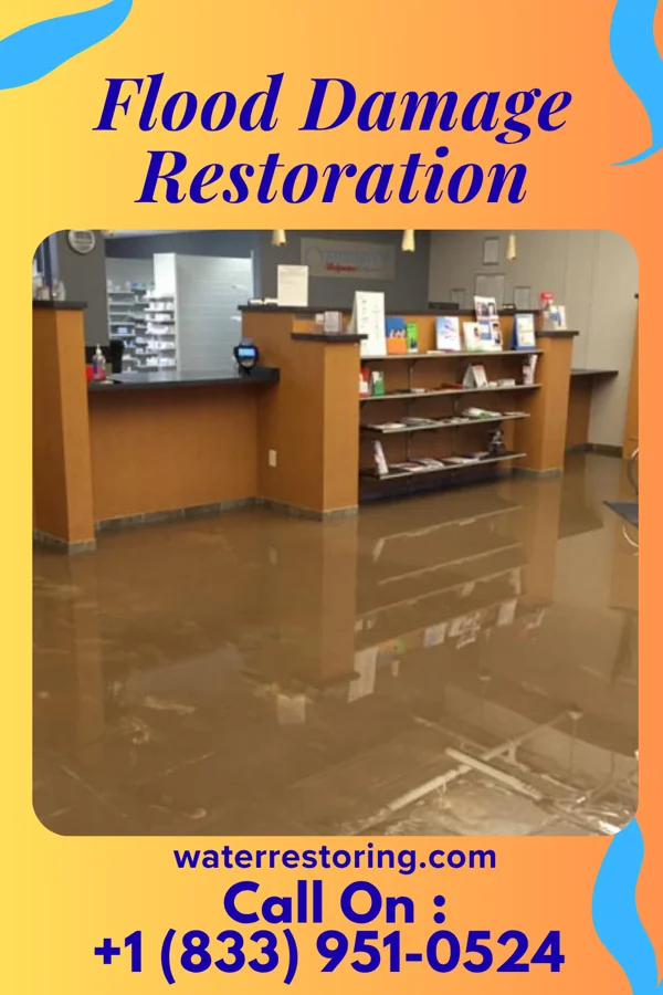 Flood Damage Restoration in Severn, NC