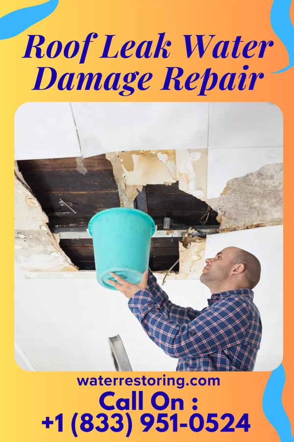 Roof Leak Water Damage Repair in Severn, NC